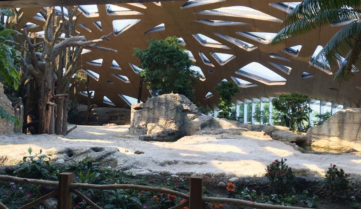 copyright by Walt Galmarini